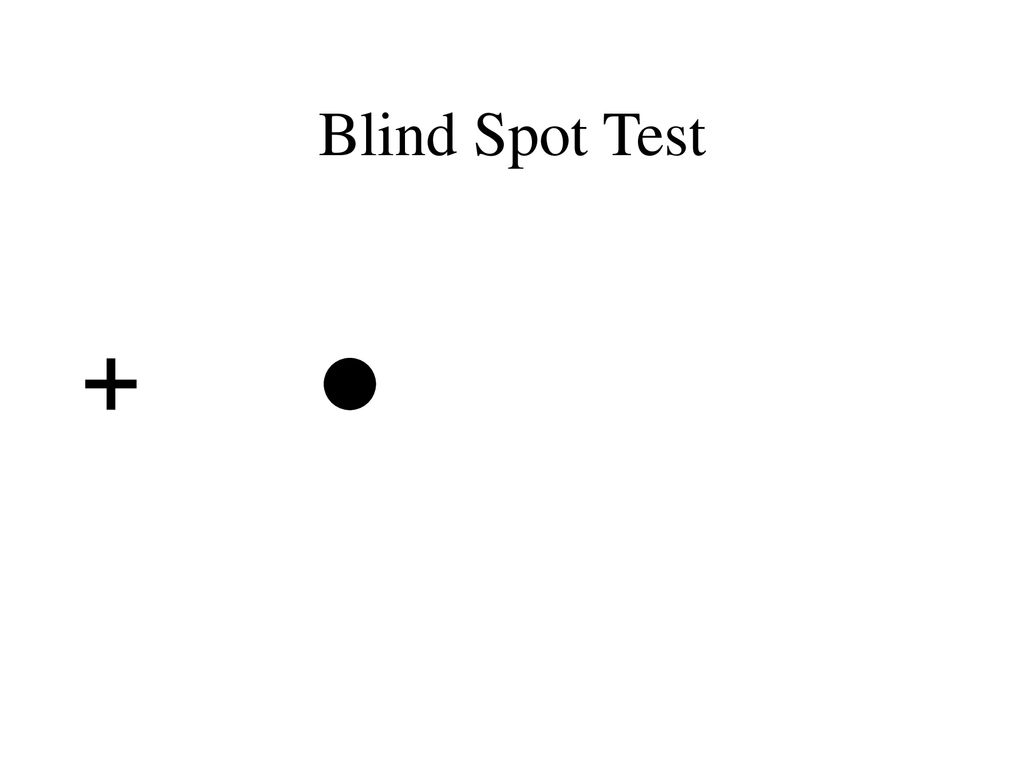 Практическая работа слепое пятно. Blind spot тест. Слепая зона глаза тест. Слепое пятно иллюзия. Слепая зона картинка тест.