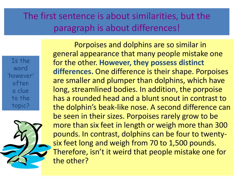 Topic Sentences Main Ideas and Specific Details ppt download