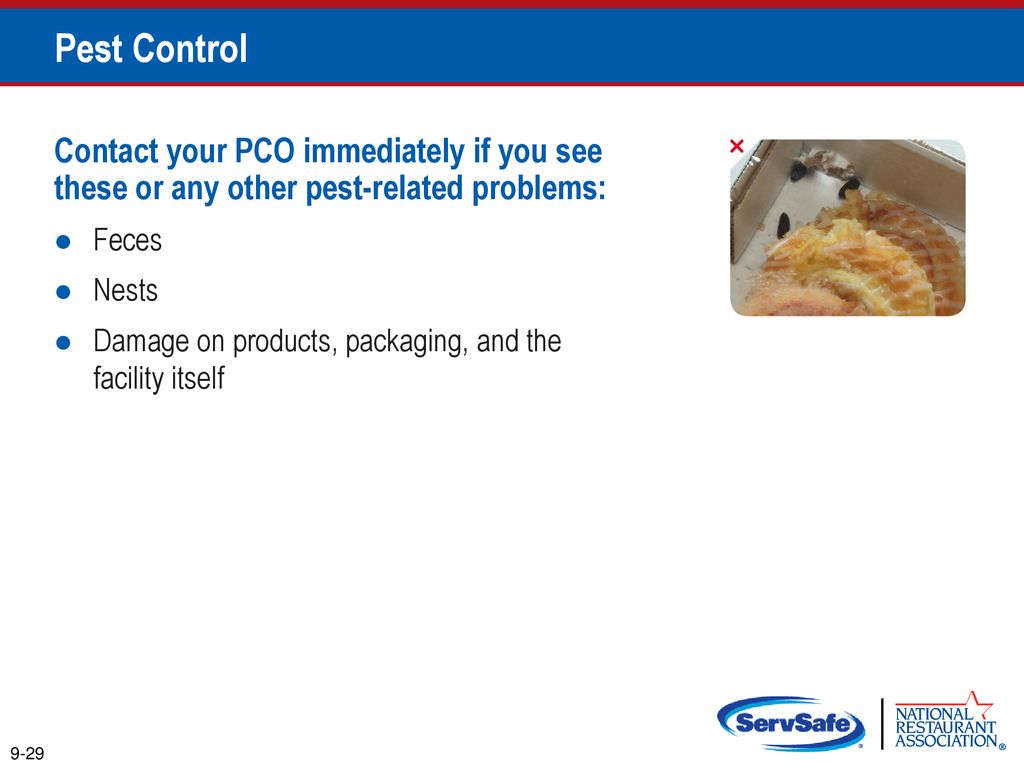 Pest Control Contact your PCO immediately if you see these or any other pest-related problems: Feces.