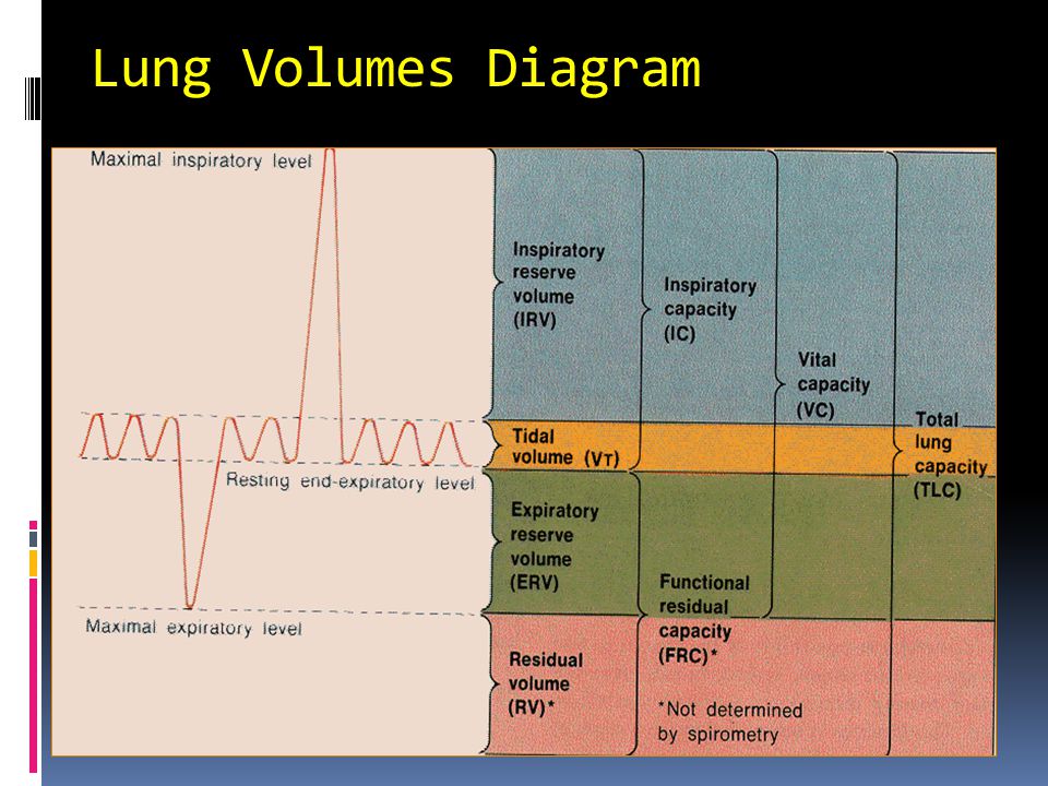 Lung Volumes Diagram Volume if cannot be broken down in smaller subcomponents.