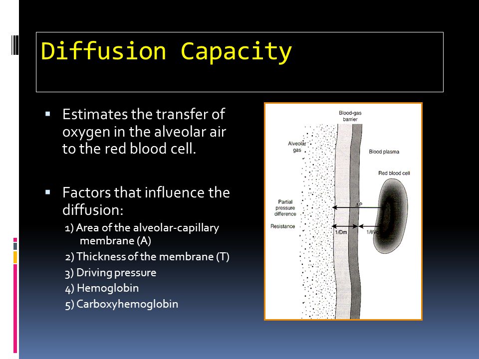 Diffusion Capacity Estimates the transfer of oxygen in the alveolar air to the red blood cell. Factors that influence the diffusion: