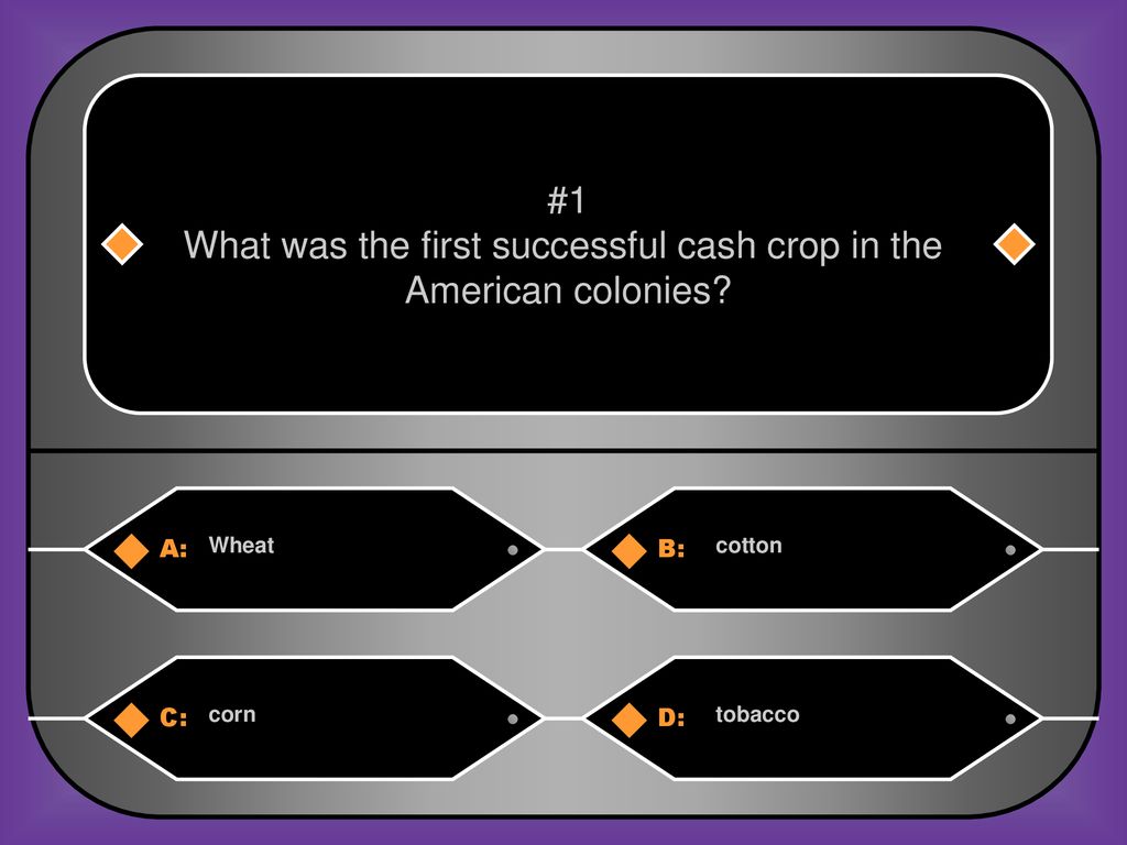 What was the first successful cash crop in the American colonies