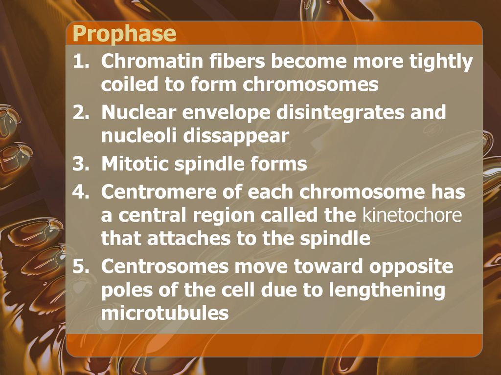 CELL DIVISION TOPIC ppt download Biology Diagrams