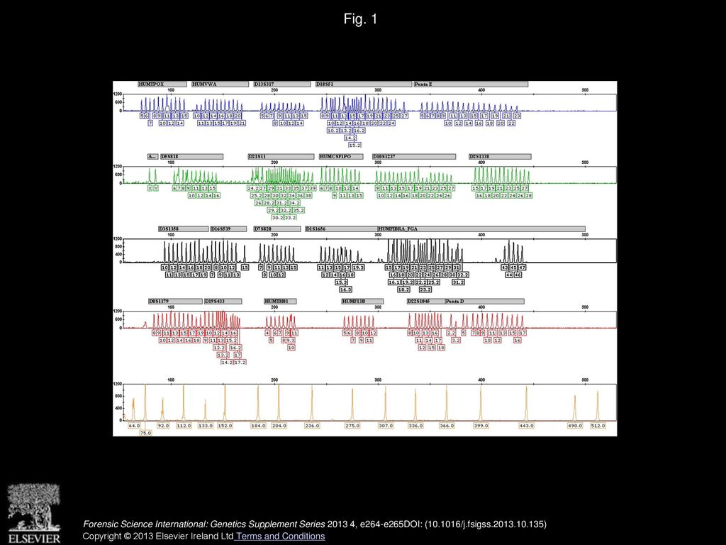 Fig. 1 Allelic ladders comprising the most prevalent alleles of the 21 loci in the Brazilian population, and size standard ranging from 64 to 512bp.
