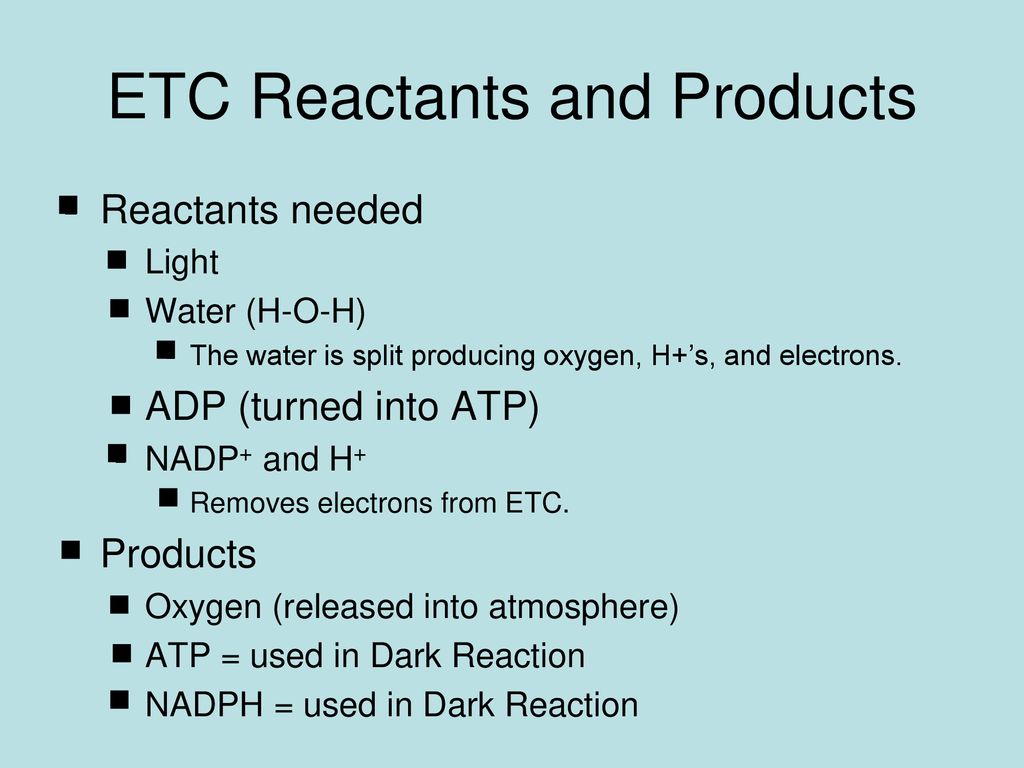 Photosynthesis Light Reaction ppt download