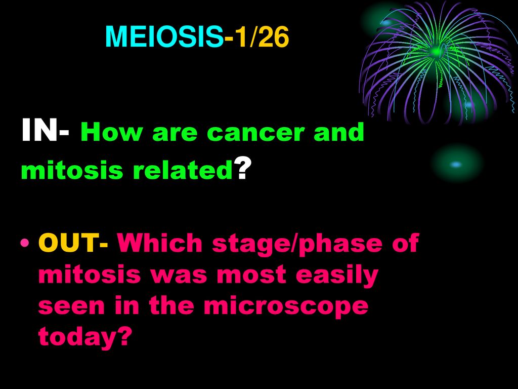 Mitosis Under what circumstances do cells undergo mitosis? Biology Diagrams