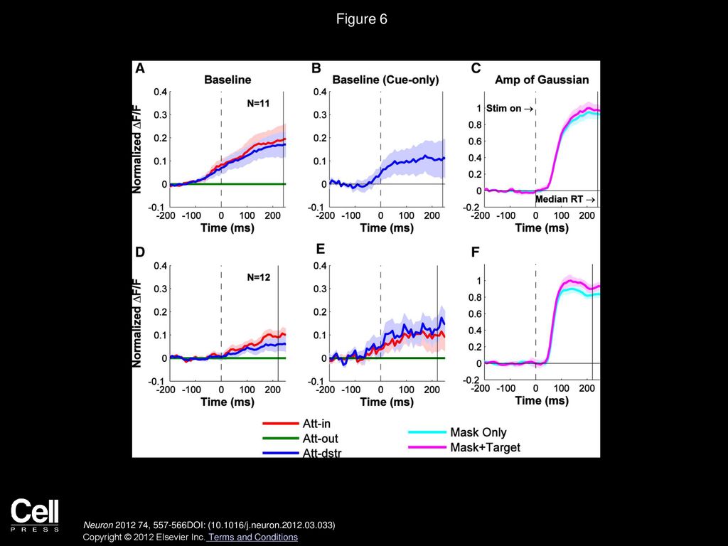 Figure 6 Time Course of Attentional Modulations and Stimulus-Evoked Responses.