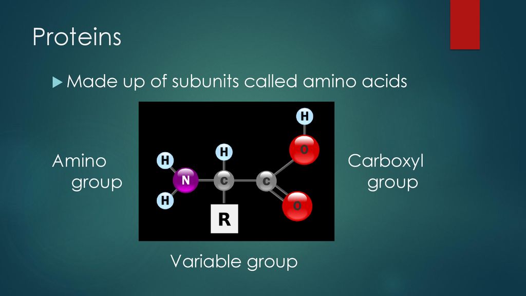 proteins are made of subunits called