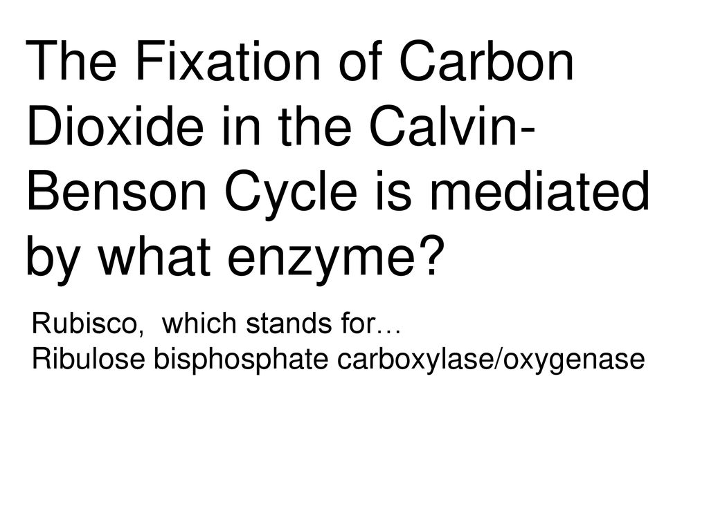 The calvin benson cycle ppt download