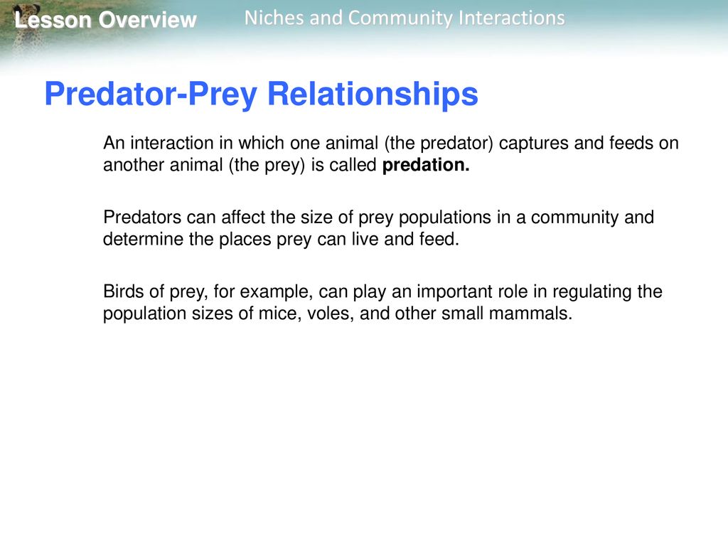 4.2 Niches and Community Interactions Biology Diagrams