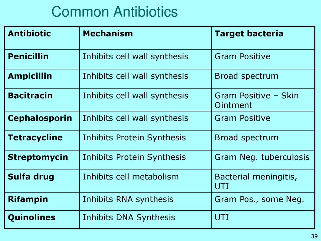 BACTERIA. - ppt download