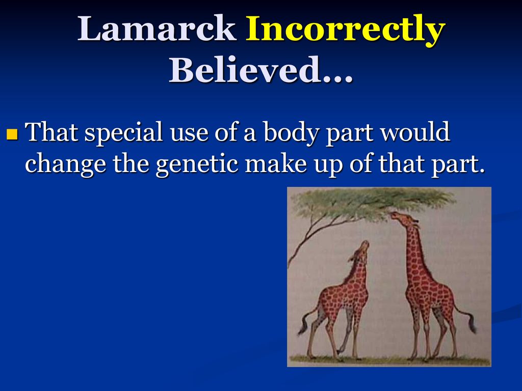 Natural Selection Demo - ppt download