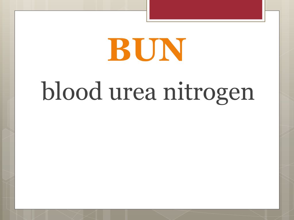 BUN blood urea nitrogen