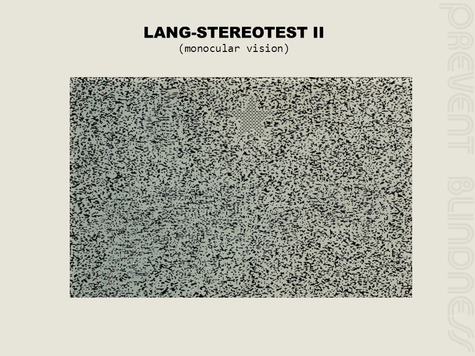 LANG-STEREOTEST p. - ppt video online download
