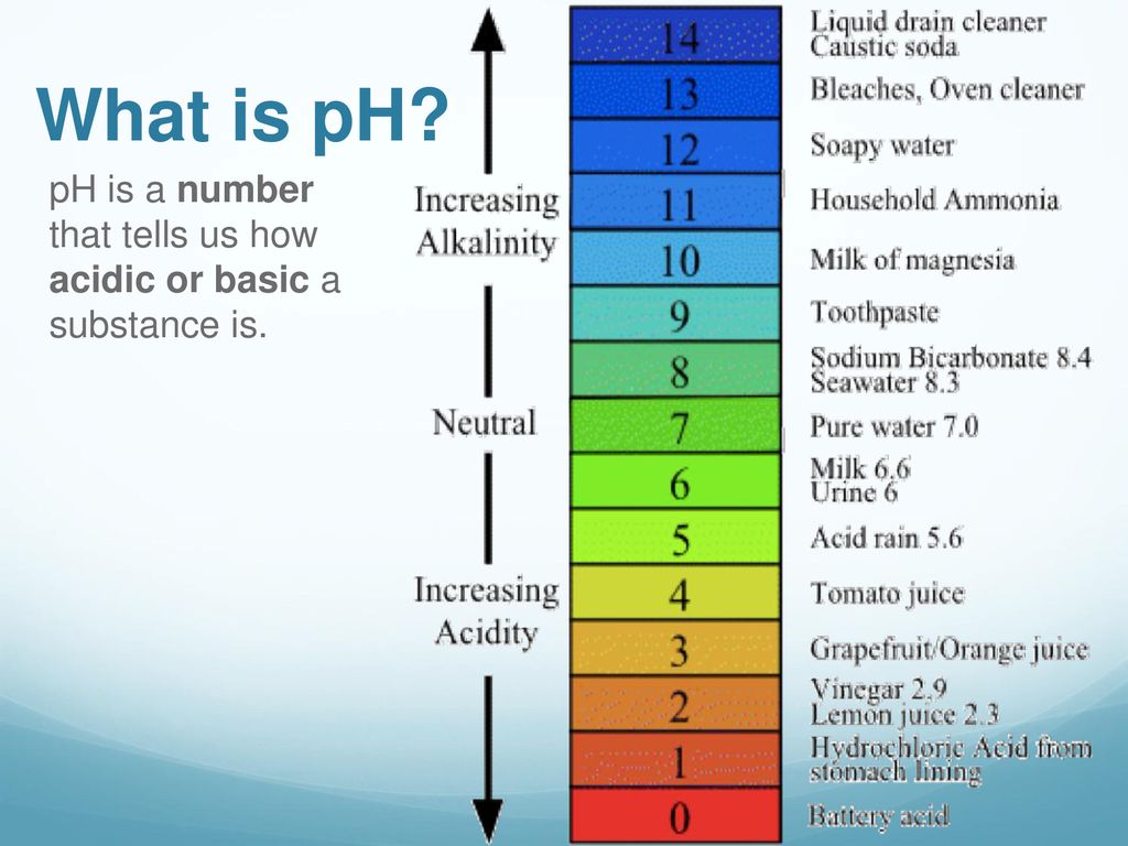 Acids bases and ph ppt download