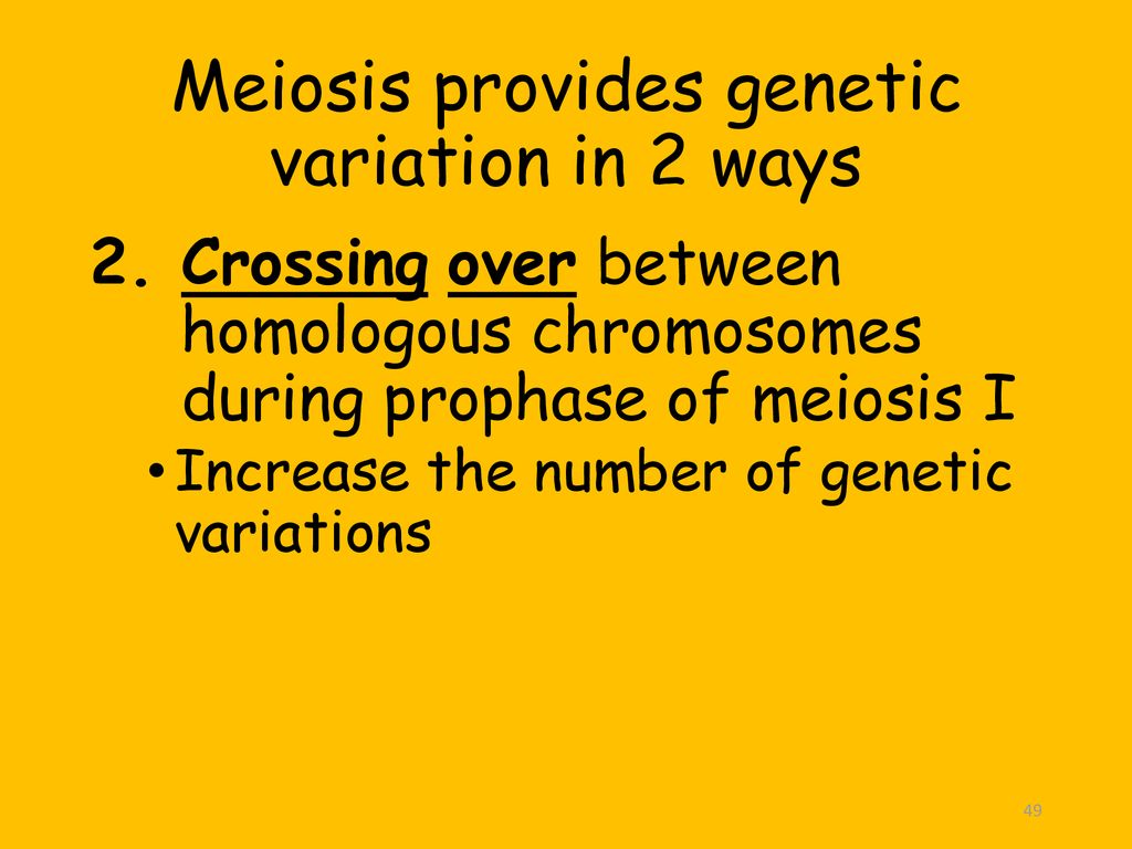 Meiosis Division of sex cells. Biology Diagrams