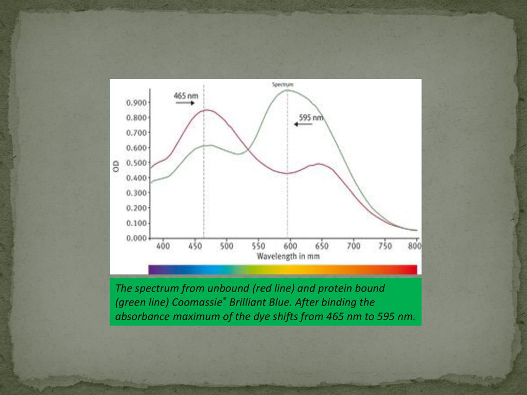 Lab activity 7 iug fall 2017 tmz ppt download