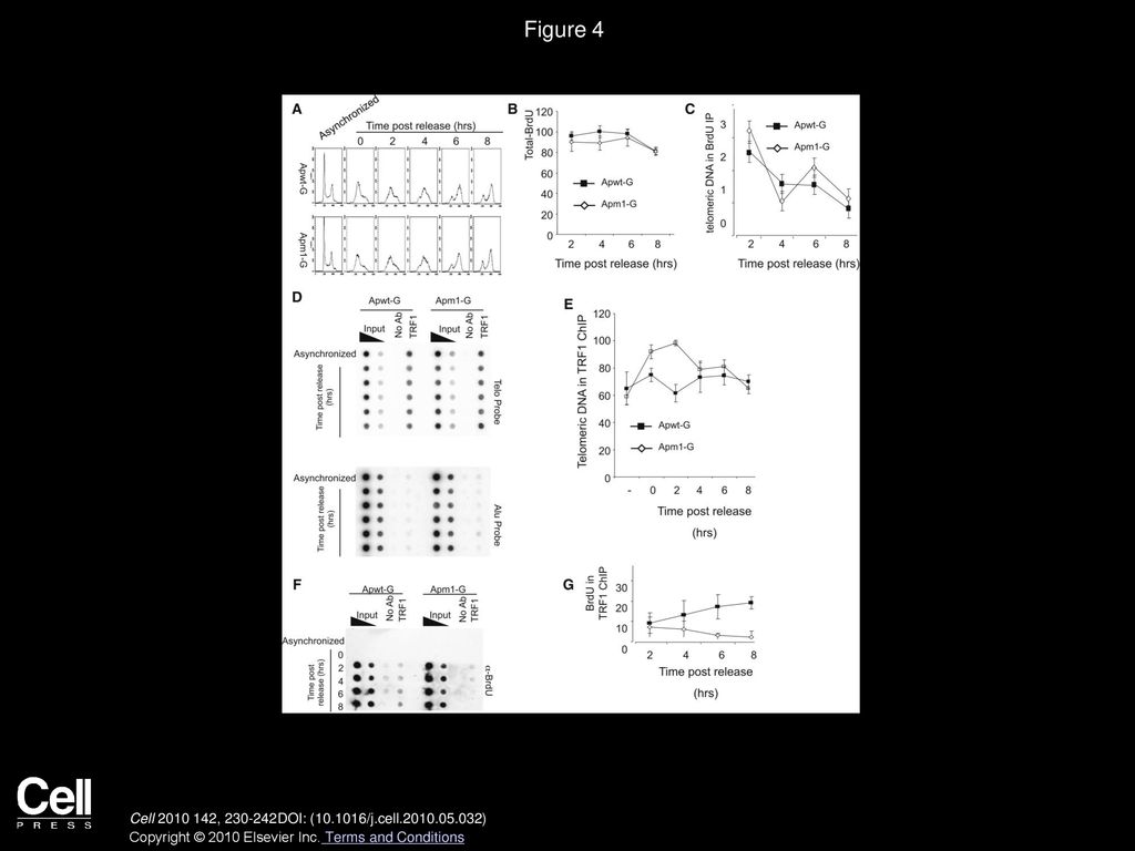 Volume 142 issue 2 pages july 2010 ppt download