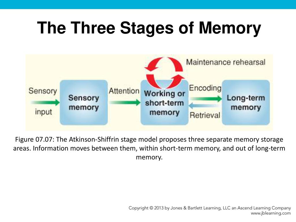 Chapter 7 Memory. - ppt download