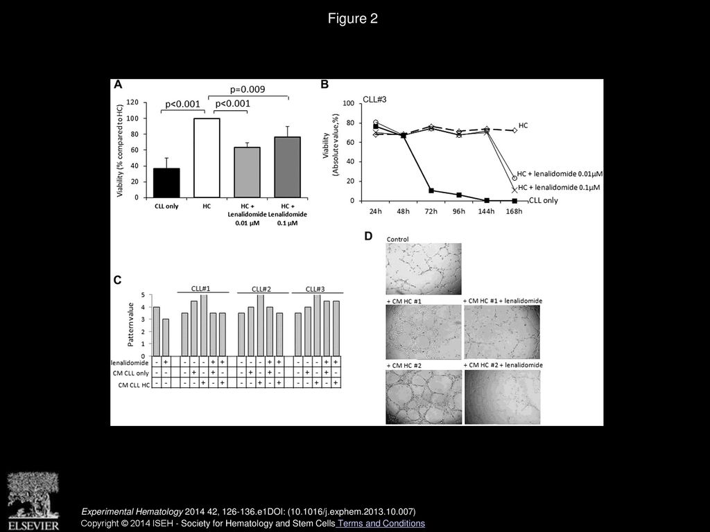 A Examples Of Annexin Pi Stainings Of Tscs Grown For Seven Days In