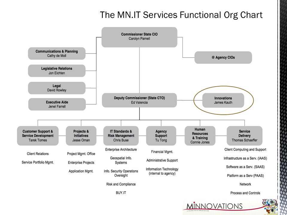 Mn It Services Org Chart
