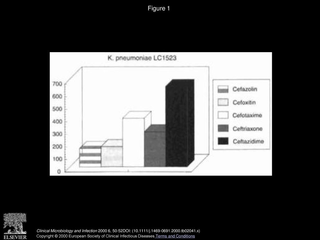 Figure 1 Mean permeability coefficient (P. nm/s) of five cephalosporins in a K. pneumoniae strain.