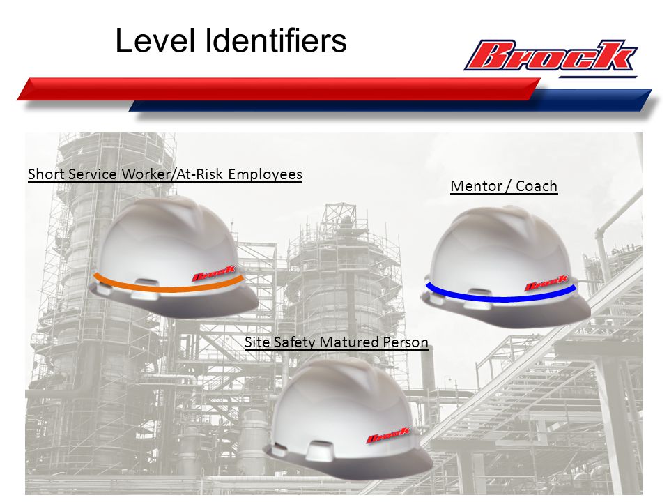 Level Identifiers Short Service Worker/At-Risk Employees