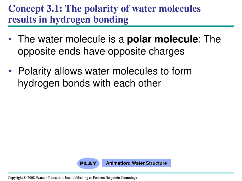 Animation: Water Structure