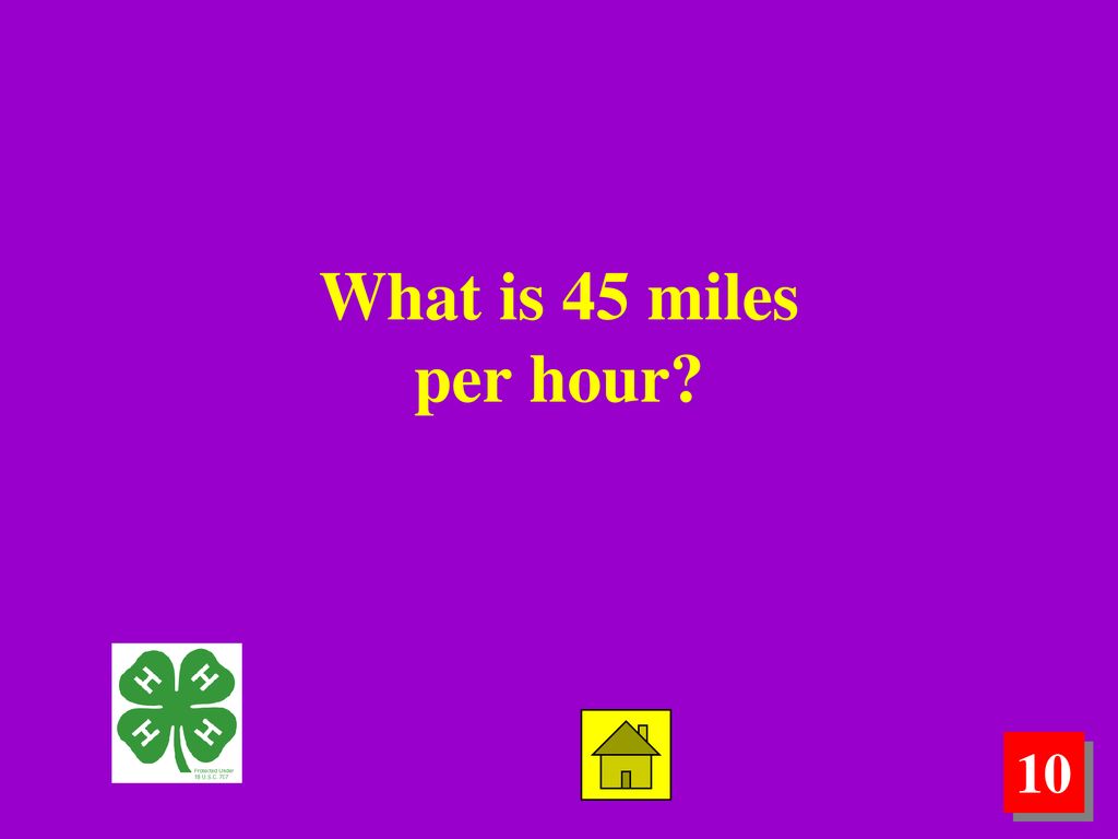 Equine Science Jeopardy Ppt Download equine-science-jeopardy-ppt-download