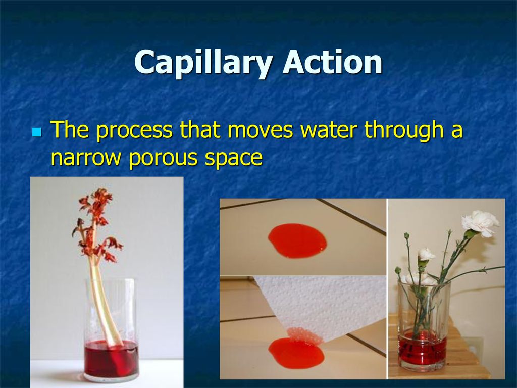 Capillary Action The process that moves water through a narrow porous space