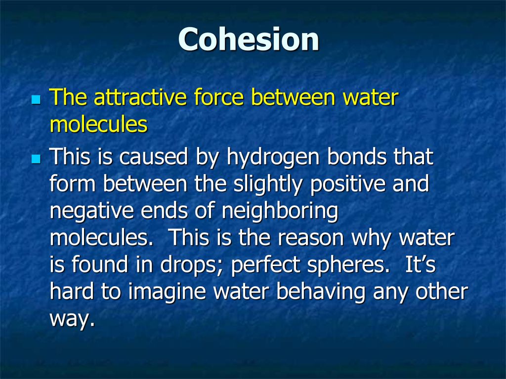 Cohesion The attractive force between water molecules