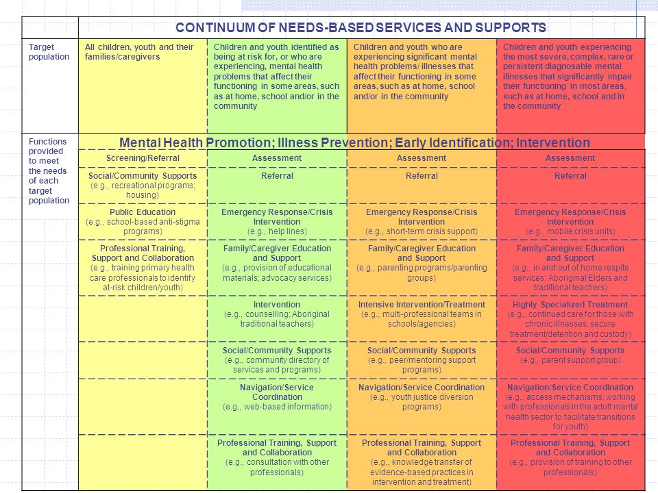 CONTINUUM OF NEEDS-BASED SERVICES AND SUPPORTS