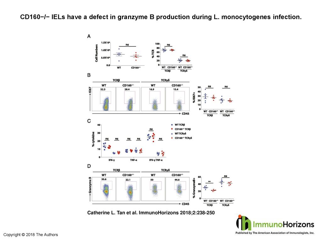 CD160−/− IELs have a defect in granzyme B production during L