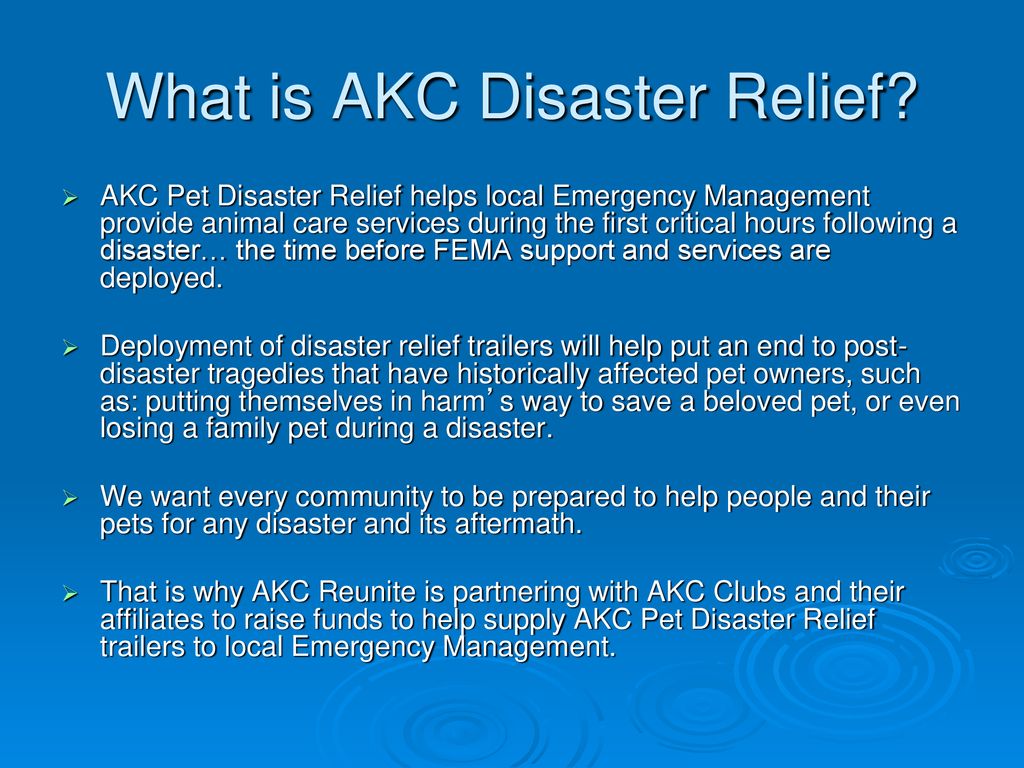 Akc pet disaster program ppt download