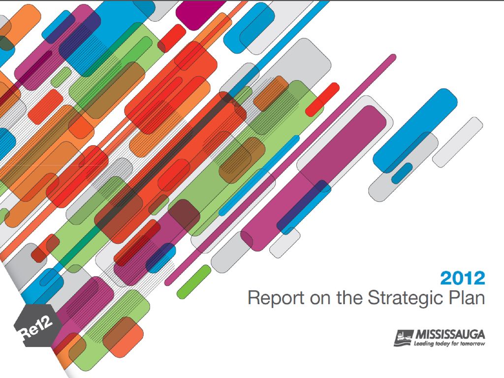 Our first progress report was presented to Council in June 2009 and can be found on our Strategic Plan website.