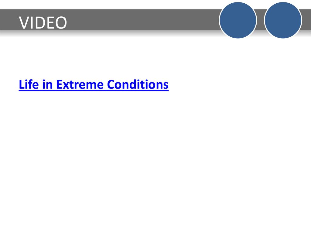 VIDEO Life in Extreme Conditions