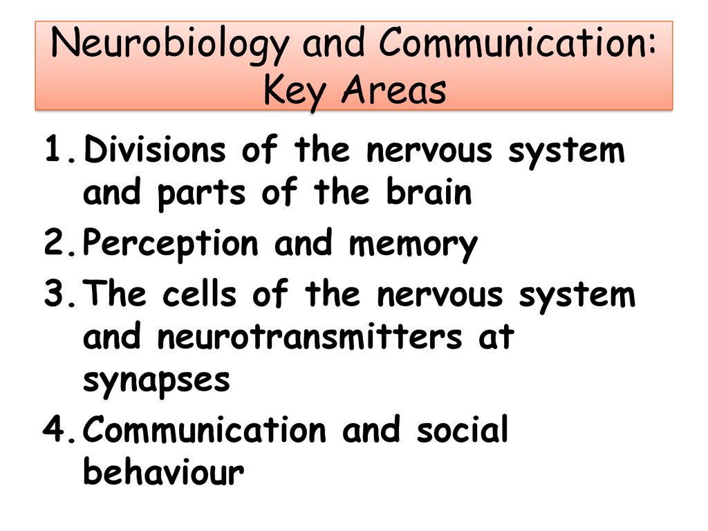 Neurobiology and Communication: Key Areas