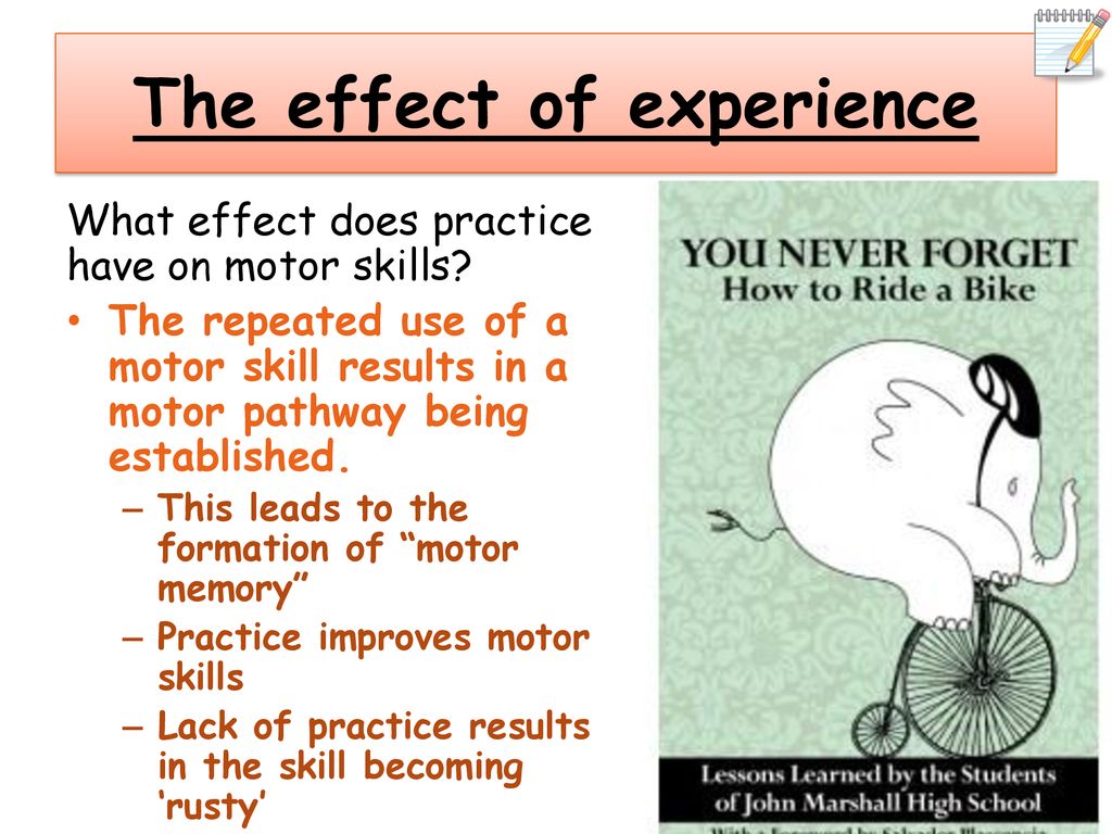 The effect of experience