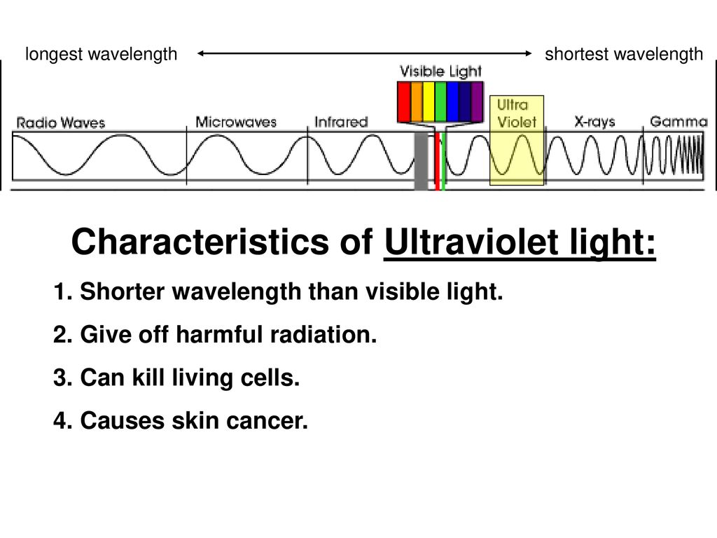 The Electromagnetic Spectrum Ppt Download the-electromagnetic-spectrum-ppt-download