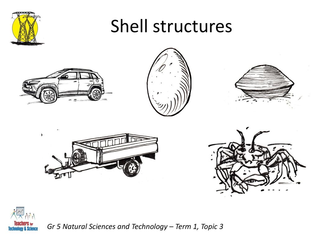 Natural Sciences and Technology Grade 5 - ppt download
