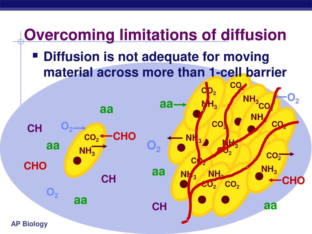 Overcoming limitations of diffusion