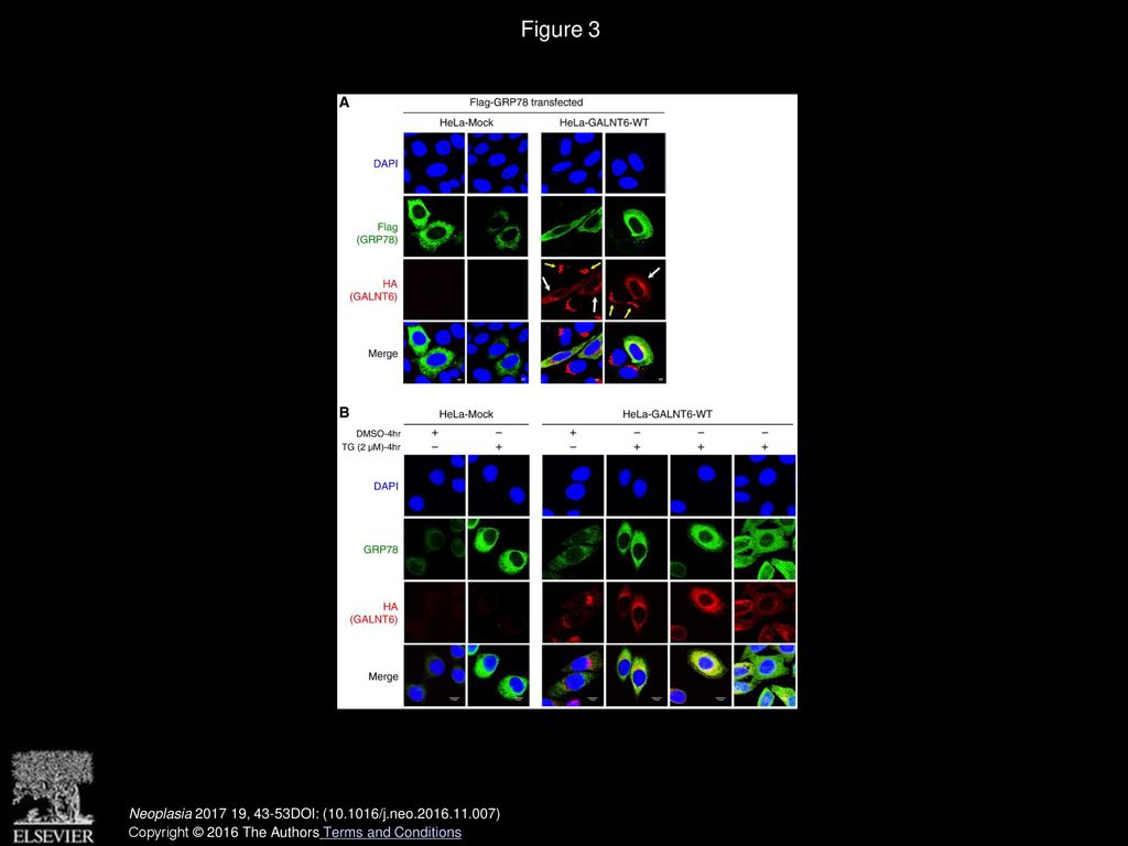 Volume 19 Issue 1 Pages January 2017 Ppt Download how-to-remove-asterisk-question-mark-tilde-in-excel-how-to-delete