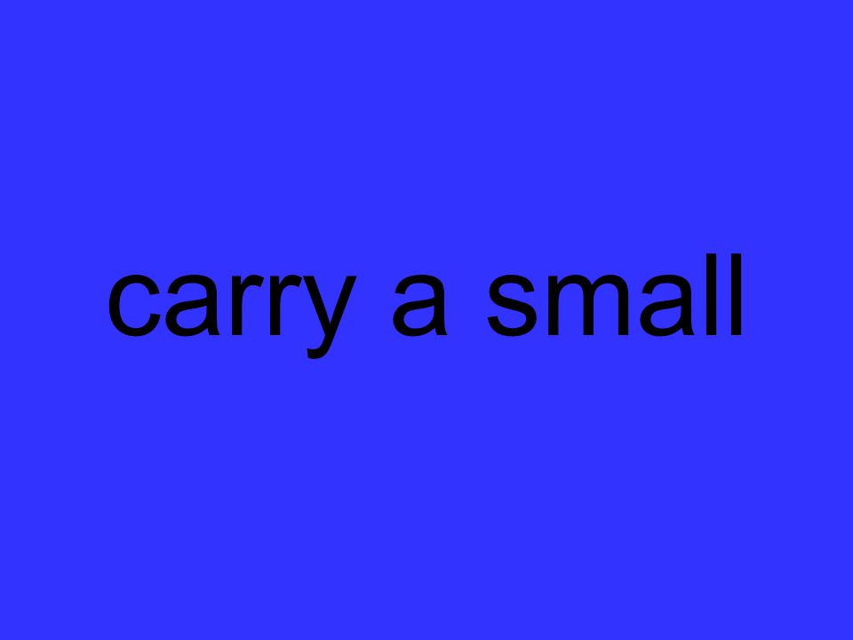 carry a small