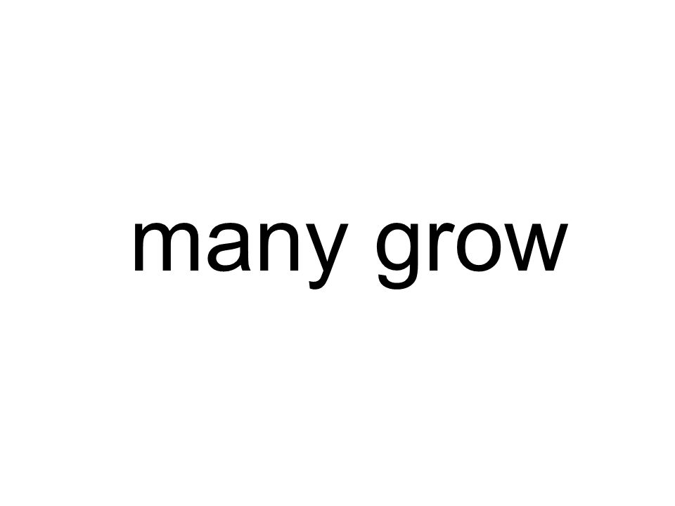 many grow