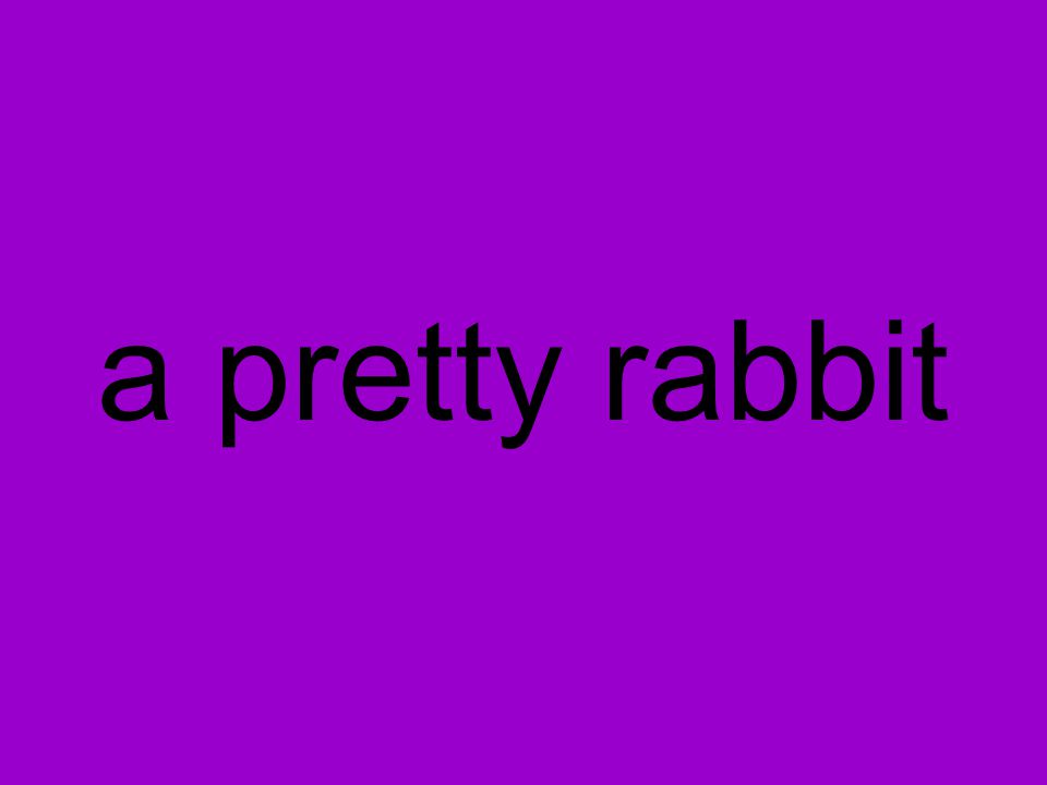 a pretty rabbit