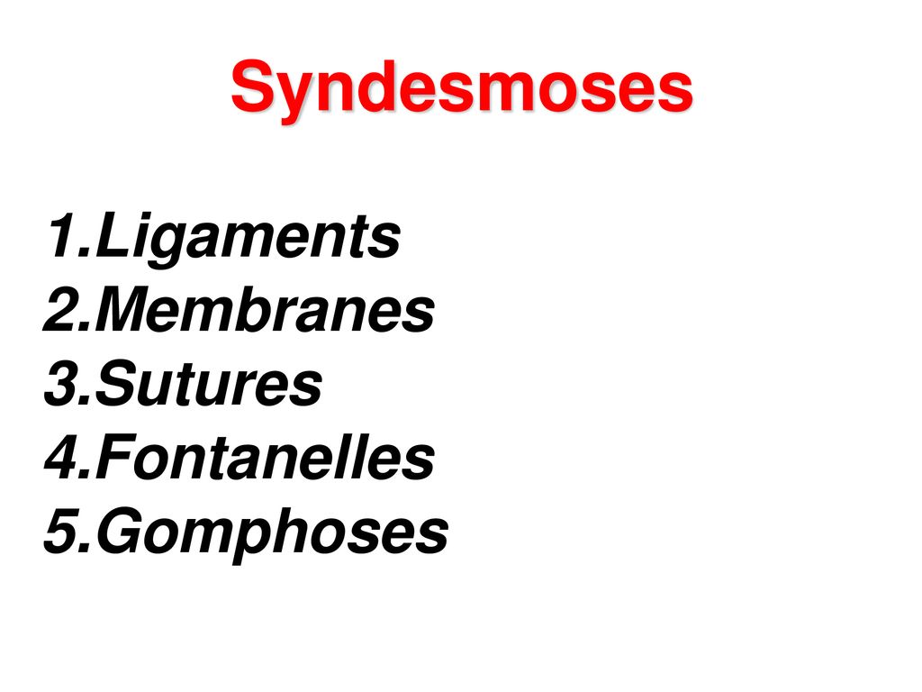 Syndesmoses Ligaments Membranes Sutures Fontanelles Gomphoses