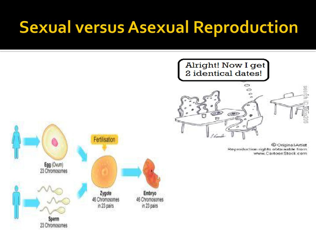 Biological Diversity Unit Biology Diagrams