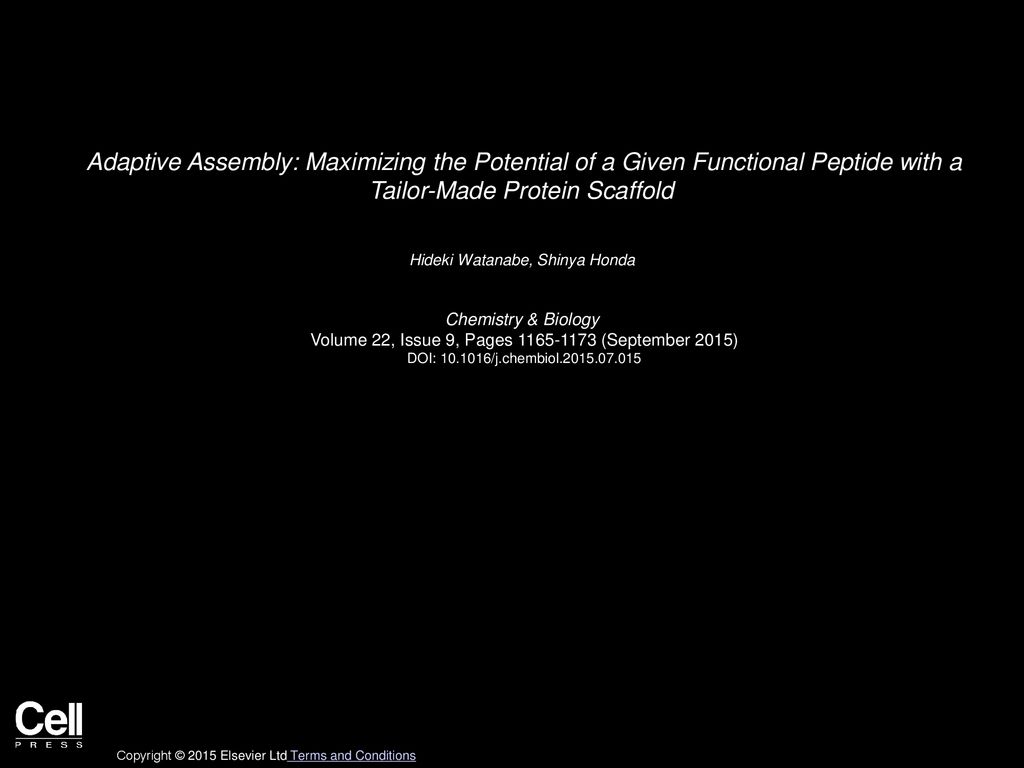 Adaptive Assembly: Maximizing the Potential of a Given Functional Peptide with a Tailor-Made Protein Scaffold