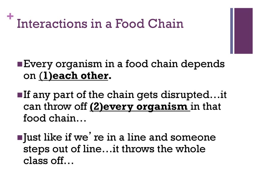 October 17, 2012 What do we call… Biology Diagrams
