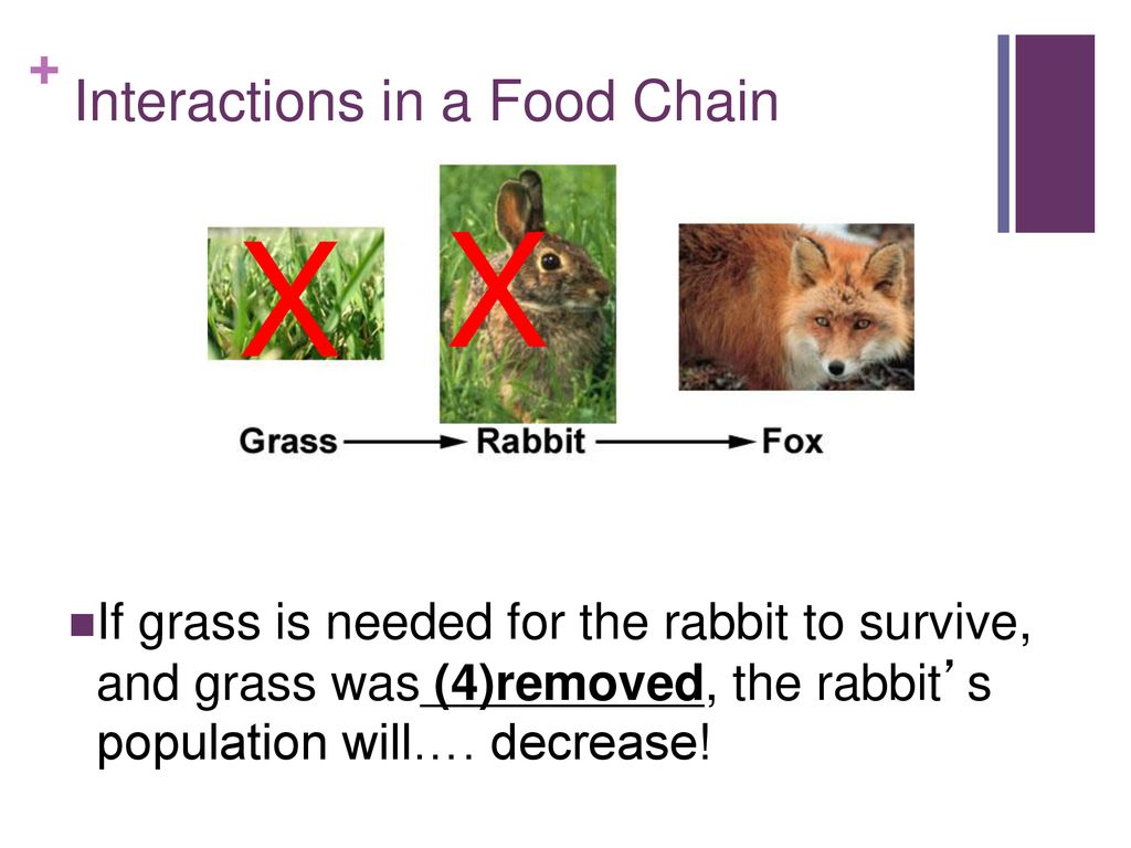 October 17, 2012 What do we call… Biology Diagrams